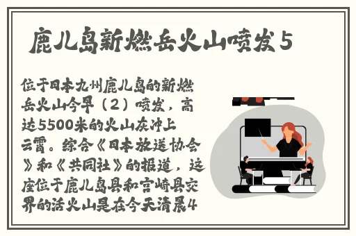 冈本视频下载